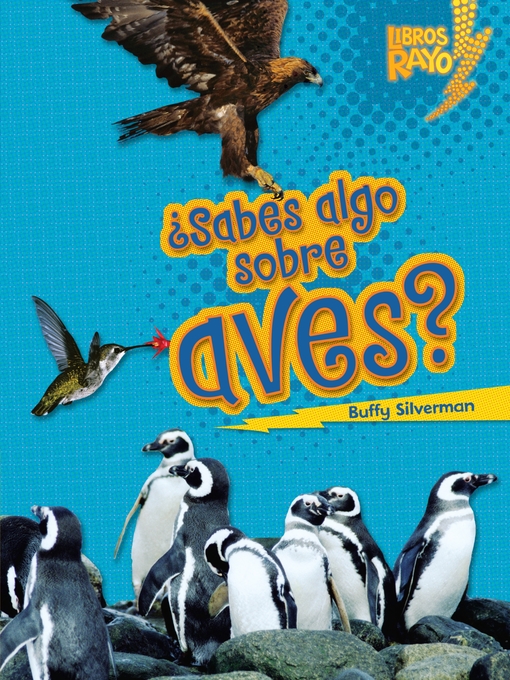 Title details for ¿Sabes algo sobre aves? (Do You Know about Birds?) by Buffy Silverman - Wait list